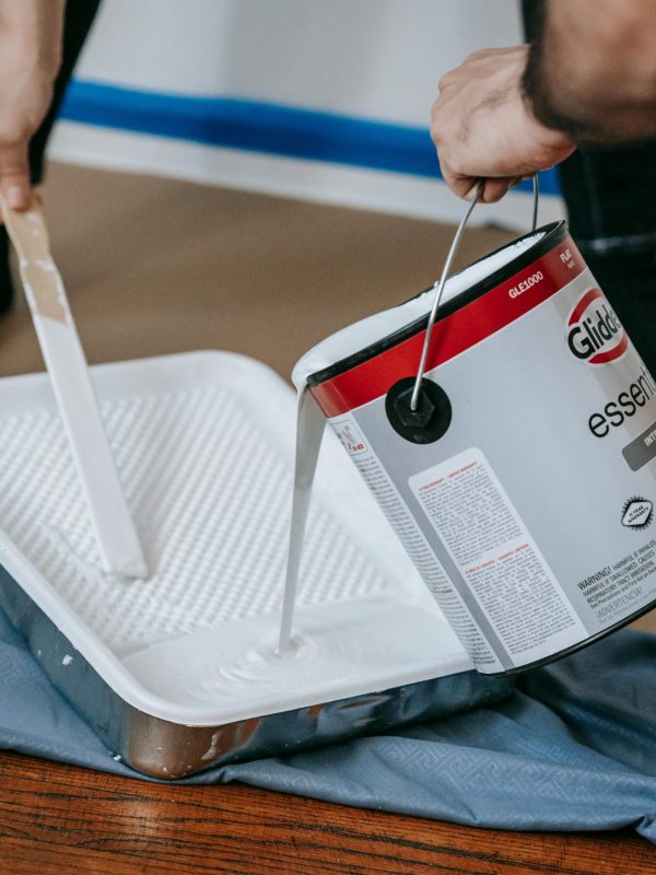 pexels-blue-bird-7217999