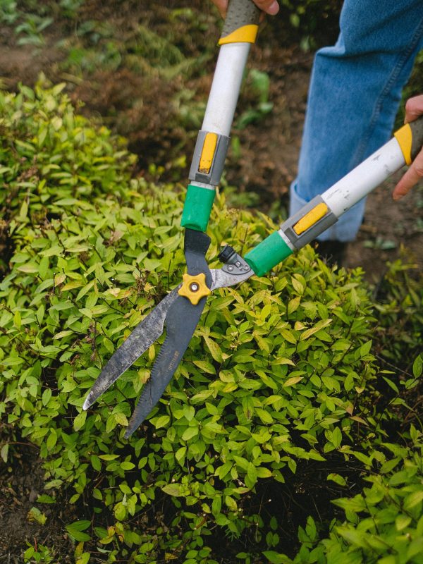 pexels-shvetsa-5231138